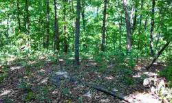 8/12/2012 10+/- private wooded acres at theend of shared lane. Your very own retreat for weekend recreation & hunting.Wonderful home site for a walk out with beautiful view of the abundant wildlife.Electric and phone at property line. Will be surveyed