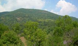 -Mountain views on this incrediable 4.37 +/- easy laying acres,easy to build on, paved road frontage,pasture, perfect for private estate, well and septic on property.Home and barn have no value. Seller is a licensed N.C. Broker. Taxes to be determined.