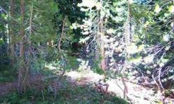 Build your dream home in a quiet Tahoe neighborhood that has a true mountain feel. This is a level wooded lot with southerly views of 3 CA conservancy parcels. Seller is including house plans for a 2100+ square foot home. The lot is 10,500+ square foot
