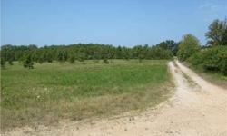 Very nice level to gently rolling land. Approximately 40 acres in pines, 7 open acres. This property could be row crop land if trees removed (has been farmed in the past). Good county paved road frontage. Will divide. Owner terms avaialble.Listing