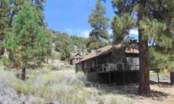 LOOKING FOR A GOVERNMENT LEASE CABIN THAT HAS GREAT ACCESS ALL YEAR? THEN CHECK THIS ONE OUT! NOT FAR FROM THE EAST LAUNCH RAMP. NICE VIEWS OF THE MOUNTAINS AND ACRES & ACRES OF NATIONALFOREST AS YOUR BACK YARD. CITY WATER CONNECTED, BUT NOT METERED! ONE