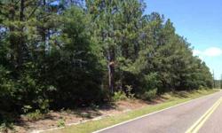 Ideal timber/investment property with exceptional road frontage on 3 roads! Situated near Aiken's 302 Horse Country area-it is hard to go wrong at this price per acre! Per Owner