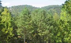 Rare lot for sale in beautiful sondley estates. Lot slopes from road, then has gentle building location.
Carol Forney is showing this 4 bedrooms property in Asheville, NC. Call (828) 210-3246 to arrange a viewing.
Listing originally posted at http