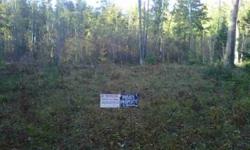 Hunters this''42.95 ac.''is survey,has nice road frontage.2 parcels the 3.96 acres has the road frontage with a nice building site use as a hunting camp or build now,electric at the road. The 38.99 ac.runs behind the 3.96 ac.There's stands on the property