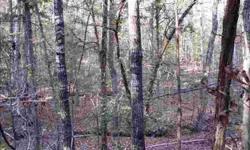 Preistine Property in Exclusive Rural Neighborhood; great trees; rolling hgills; beautiful home site; reminds you of the mountains and foothills of SC; DHEC approved for Four Bedrooms; min. of 2500 Sq Ft Heated Area and Architectural Review Required to