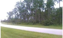 This beautiful 2.19 acre building lot is located in prestigious Hawks Landing subdivision. This one of a kind gated community has 47 lots from 2-4 acres. With mature pines and hage live oaks your estate home will be a preserve like setting. Located in the