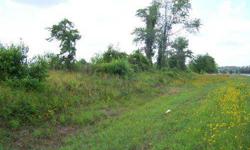 This 22.18 acres tract has over 500' of highway frontage on US41/129 and less than 5 minutes to I-75 providing a great location for easy commute. This is also an excellent location for you to start your new farm or you can subdivide as this property is