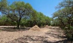 Invest in 40 UNRESTRICTED acres with some of the best trees you'll find in Northern Hays County. In the middle of development but yet completely private. Cool cedar cabin with well and septic will get you started (or a great 2nd home getaway). Caliche