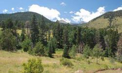 Rarely does a property of this magnitude become available for under 1 million!the majority of this stunning 2 hundred acre property is considered an inholding within the san isabel national forest bordering music pass trailhead.ideal for the sportsman,