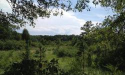 Great investment property in Oglethorpe County, GA with incredible rolling terrain and hardwood bottom with year round creek. Over 275 acres of newly planted pines. Located within 10 miles of all daily needs and just 20 miles from Athens, GA. Great
