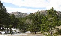 This property is fantastic. There is as much seclusion as you could wish for - and yet still only minutes from the quaint Mountain town of Guffey. This lot is at the end of a little traveled road - and will delight you. There is a nice balance of meadow