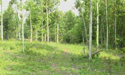 $85,000. This property is located approximately one mile from several thousand acres of TVA property (Fork Bend Public Use Area) that is set aside for recreational purposes such as camping, hunting, hiking, etc. Fronts on two roads with water and electric