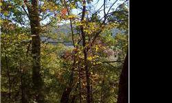 HUNTING PRADISE 40 Acres Between Fort Smith, AR and Fayetteville, AR surrounded on all sides by National Forest...$85,000Listing originally posted at http