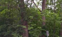 Nice deep building site in Leland. Heavily wooded and ready to build. This property is served by the Leland sewer system and buyer would assume the cost of hooking up to same. Shared waterfront on Lake Michigan is assumed and not assessable at this time.
