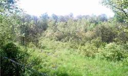 12.16 acres in Livingston Manor - wonderful place to build a home.
Listing originally posted at http