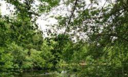 This is a waterfront lot on Little Timberlake, Calm peacefull and ready for you to build on. Wooded 7000 square feet; ready for septic system and cabin or RV setup. Call for details