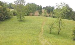 #2516 - Rose Hill, VA - Potential, potential, potential. This 26+/- acre farm could be used for many uses like