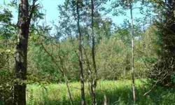 Peace and Serenity abounds here on this private 30 acres. Great place to come and build your cabin in the woods. Great deer hunting. Nice mixture of wooded and open land with the Pine River on the South and West sides. Open land for the ATV's as