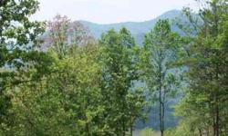 Beautiful subdivision with year round mountain views. Paved road, septic spproved, branches and springs througout. Views of Brasstown Bald, access to hiking trails. Private area to call home. Walkable distance to Young Harris College.Listing originally