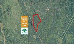 79 +/- acres hardwood cutover adjoining D'Arbonne Wildlife Refuge in Ouachita Parish, LA Tract was completely clear cut in summer 2010 w. exception of hardwoods along the SMZ (streamside management zone). Property is surrounded by thousands of acres of