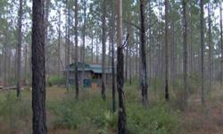 BRING ALL OFFERS- BEAUTIFUL 36 ACRES MOL OF LAND WITH SCATTERED PINES AND A CYPRESS HEAD ON PAVED ROAD OF APPROX 1,200 FEET. ALSO HAS A LOVELY CABIN WITH ELECTRIC AND A WELL. (NO SEPTIC) VERY SECLUDED BUT JUST MINUTES FROM I-10, AND GREAT HUNTING! THIS