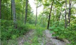 Beautiful wooded property with views. Several building sites. Adjoins a lot in Mt. Airy that can also be purchased.
Listing originally posted at http