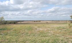 This land is perfect to build your dream home on or just to have an investment. Message me for details.Elizabeth StackRE/MAX Performance GroupProsper, Tx