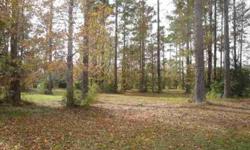 Gorgeous lot fronting on spacious lake. Ideal cul-de-sac location. Essentially cleared, but several nice trees have been strategically left standing.