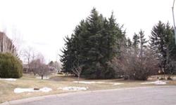 This building lot is in a great location close to downtown and shopping. It has tons of large mature trees and a built in fire pit and grill. Give us a call and we will fill you in on a house plan that would work great!
Listing originally posted at http