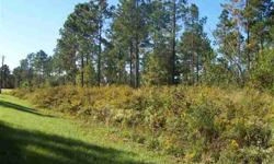 BUILD YOUR DREAM HOME ON THIS .. THIS BEAUTIFUL CORNER LOT IN LAKE FRANCES. PAVED RDS, COMMUNITY WATER AVAILABLE.
Listing originally posted at http