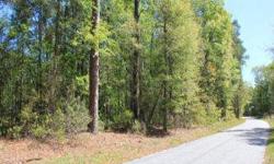 This 9.9 acre property is located on Sandridge Road in St. George, SC. The acreage offers a natural hardwood landscape, a large pond, abundant road frontage along Sandridge Rd, and privacy. Conveniently located less than 1 hour from Charleston/Mt.