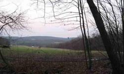 Rare Find! Beautiful 10+ acre wooded building lot! Let your builder bring your home to life amid the rolling hills of an already established Amish community and Organic Farm. Watch beautiful sunrises and sunsets while enjoying the privacy and views. 5