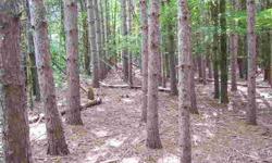 Fantastic 34.33 acres of prime hunting. Perfect mixture of wooded and cleared land.