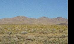 40 acres land,In Nevada,Zoning resident,Good for builder or long term investor,New on the market,Clear Title,Low tax $24,Hurry up!