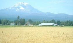 This 120 acres is located in the Glenwood Valley with a great view of Mt Adams, has around 95 acres open ground with rich soil, around 20 acres in timber, and the rest in two barns, some out buildings, a corral, and an old home site, with city water,