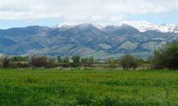 This 91.8 acre property is productive farmland with irrigation rights & year round live water from Hyalite Creek, Thompson Creek, and Buster Gulch running thru. Lush willows and some cottonwoods along the streams attract a myriad of wildlife and fishing