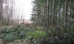 Beautiful acreage 15 minutes south of Olympia, WA. Power and phone at the site, wetland study completed and perked, 660'x990', relatively flat, seasonal creek with part of a spring fed pond, partially cleared with some marketable timber. There is a