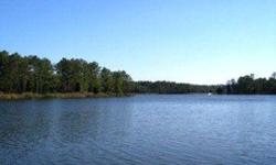 This waterfront lot is wooded which enhances its natural beauty. This property is perfect for those buyers who crave all that nature has to offer birding, fishing, boating, etc. Paved roads, community boat ramp, pier and picnic area.
Listing originally