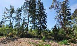Quiet county location with good road access, power and phone. Nicely treed with mixture of fir, cedar and hardwoods. Make this gorgeous home site the location for your custom home today.Listing originally posted at http