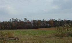 10 Acres! Bring your horses and enjoy this peaceful setting with easy commute to Elizabeth City, Virginia or the Outer Banks with the benefit of low Currituck County NC taxes! Also great location close to proposed new Mid-Currituck Bridge connecting the