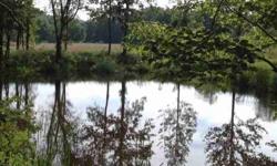 Build your dream home on this beautiful level 8.18 acre with a stocked pond.Listing originally posted at http