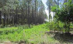 Secluded 10 acre parcel with canal running through the middle of the property, approx half is high and dry. Property is currently planted in pines.This location is private but within a close proximity to Monte Vista Road.
Listing originally posted at http