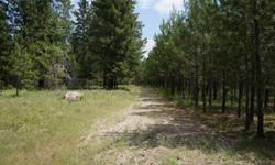 Enjoy 20 treed acres near Eloika Lake. This peaceful retreat has 10 acres of mature forest with a nice gravel road back to a meadow that provides a perfect home site. The other half of the parcel is completely unimproved forest. Site improvements include