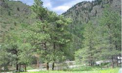 Perfect building site in the lower Poudre Canyon. 2.25 acres featuring scenic, canyon & river views. Bring the kayak and fishing pole, port in right across the road. Only 1 mile to Grey Rock Trailhead and miles of National Forest. Easy year round access