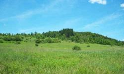 NEW YORK COUNTRY ACREAGE ----- This high quality property is comprised of largely of open meadow that slopes up-hill with incredible views all around. If you are looking to establish a country homestead, hobby or horse farm or a place away from it all,
