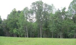 STUNNING 8.27 ACRES ZONED RESIDENTIAL PARTIALLY CLEARED FOR HOME BUILDING PREVIOUSLY PERKED LOCATED IN DAVIDSON COUNTY PART LEVEL/PART SLOPED LOT
NO SUBDIVIDING MEANS SPACE BETWEEN NEIGHBORS
SCENIC TOPOGRAPHY & SUBTLE STREAM DEER & WILD TURKEY 2 MILES