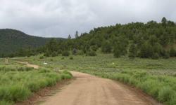 Took us years to find this beautiful property, unfortunately we must sell and your gain...11.86 ACRES IN QUEMADO, NM WHICH IS 50 MILES EAST OF SPRINGERVILLE, AZ. THE PROPERTY HAS TALL PONDEROSA PINES AND JUNIPER, AND PINION PINES. THERE IS WATER, ELECTRIC