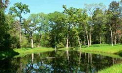 A unique rural lot with abundant trees, a small pond and a cleared homesite. Less than 10 minutes from town on paved roads all the way. Underground utilities, deed restrictions, lots of wildlife - a rare opportunity in rural Brazos County. Eight of the 10