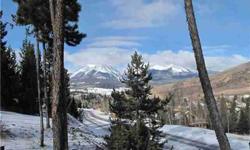 Great views of the Gore Range and lots of trees on this affordable home site in Dillon. Located in town near Lake Dillon, Keystone ski resort and an elementary school. Offers great space on almost 1/2 acre. Tap fees paid, in-street utilities and currently