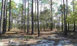 Stunning wooded lot, water/nature preserve at rear, and is lowest priced lot on Ridgecrest, in The Reserve. Priced to sell with exceptional location from entrance and The Reserve Club/amenity center. Not distress sale - ready to closeListing originally